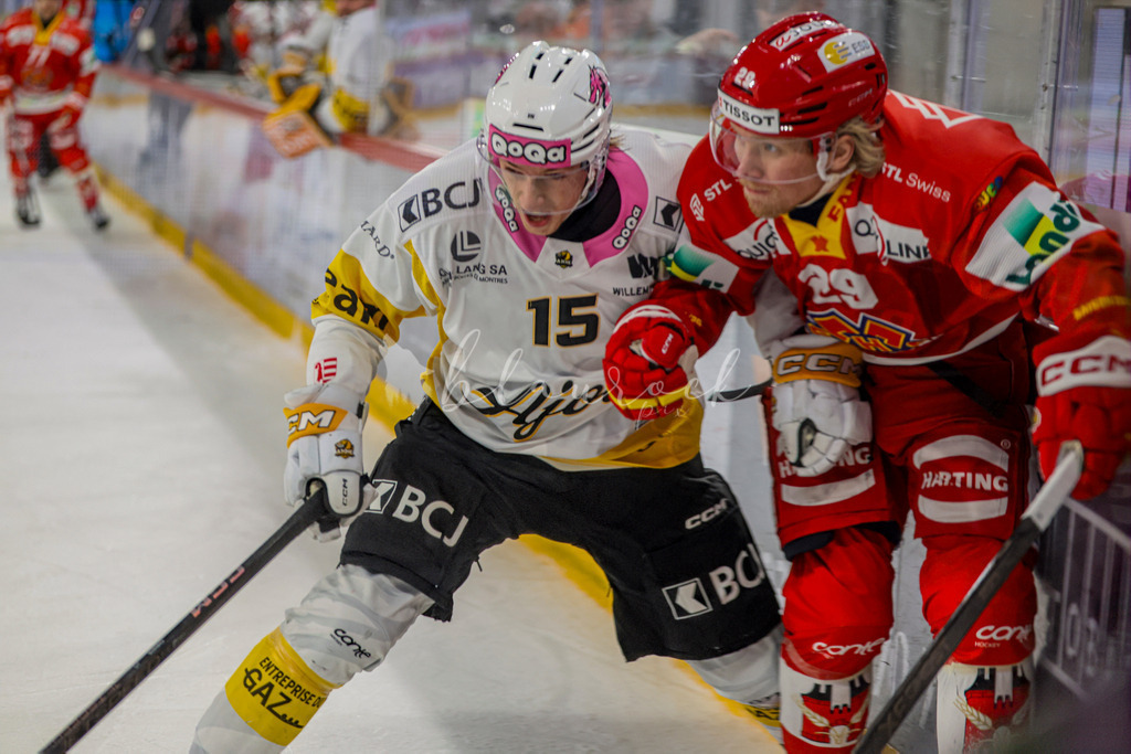 EHCB vs HCA 20260127_wb-9502 | Sportbilder, Sportfotograf, Hochzeits- und Eventfotografin, Flugshows, Portraits und Tiershooting, Aviation, Downhill, Nationalleague, Swissleague, International