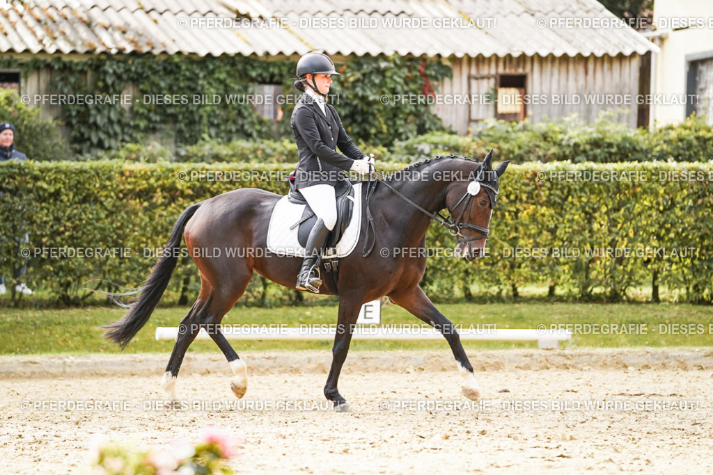 DSC00978 | Pferdegrafie