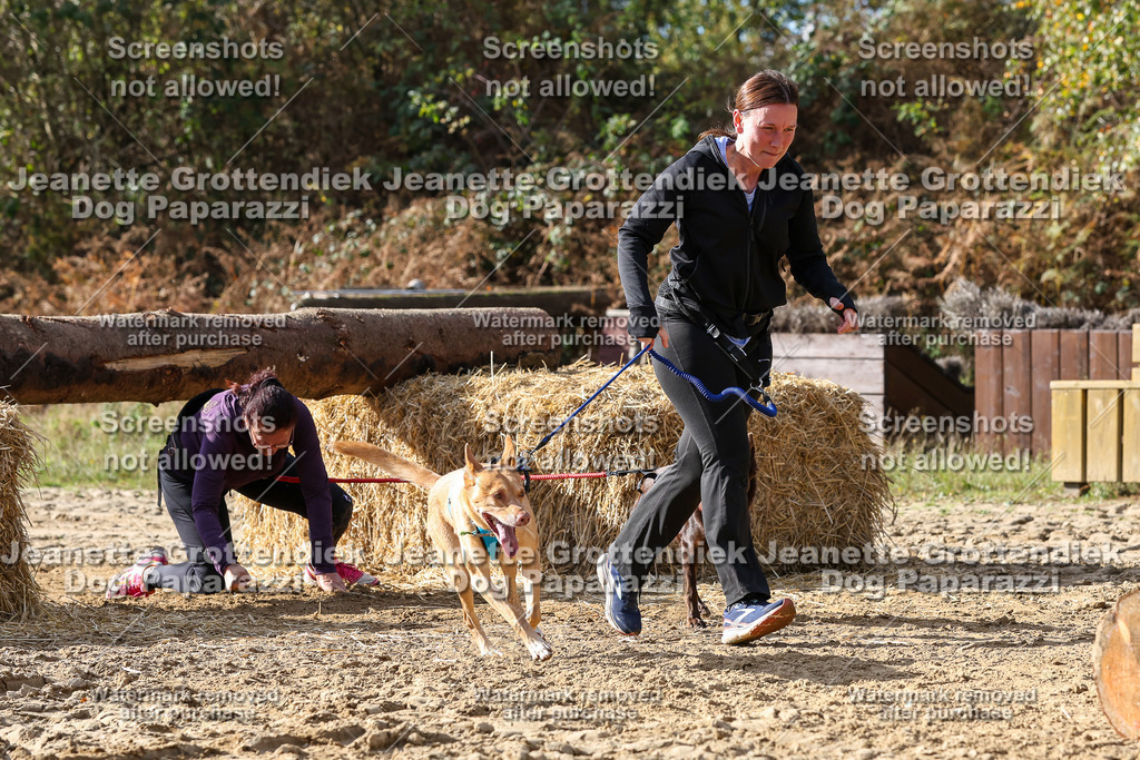 Dog Paparazzi - Strongdog 10-25-5687 | Dog Paparazzi Jeanette Grottendiek Fotografie & Videografie - Realisiert mit Pictrs.com