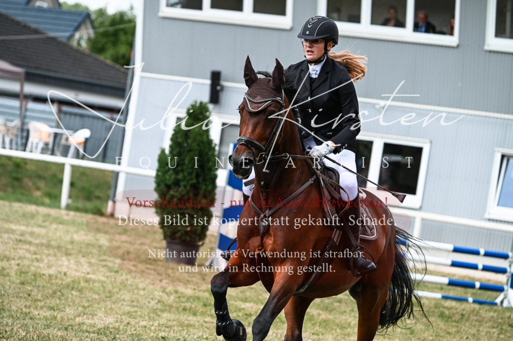 DSC_9047 | Pferde- und Turnierfotografie in Westsachsen. Pferdeportraits, Auftragszeichnungen und intuitive Kunst.