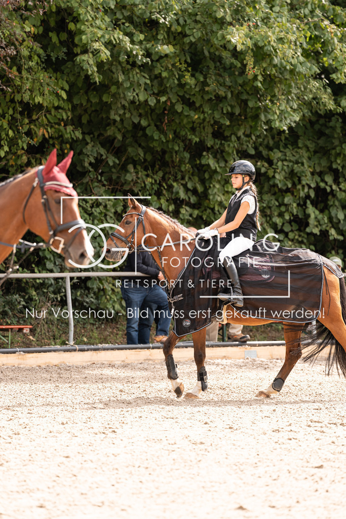 DSC02527 | Carolin Gieschke