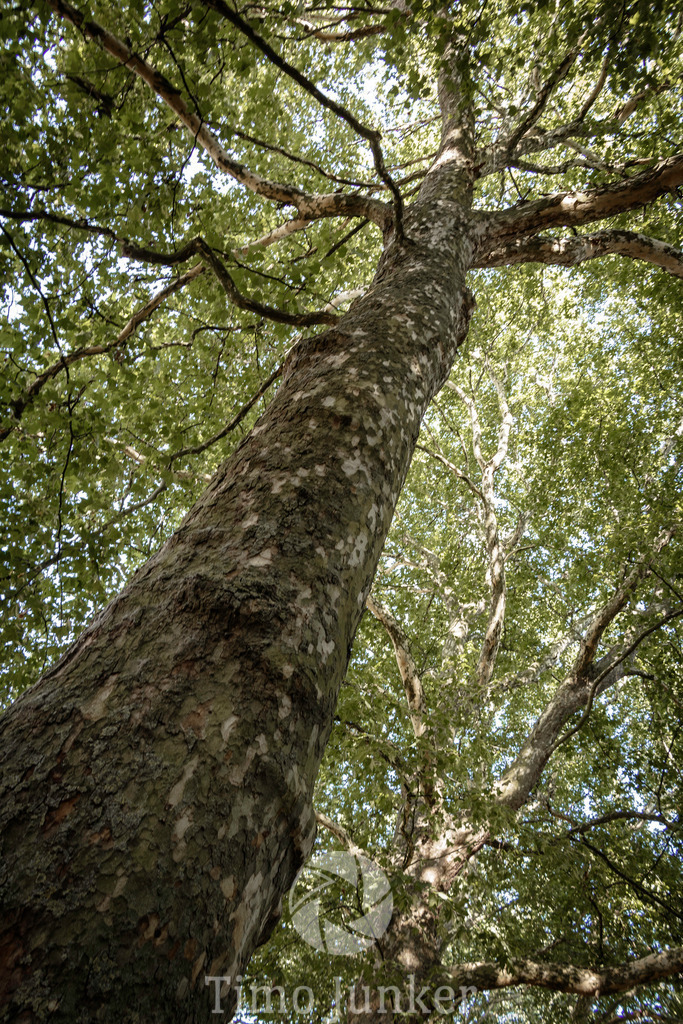 Shop_Landscapes-5039 | junker-foto - Realisiert mit Pictrs.com