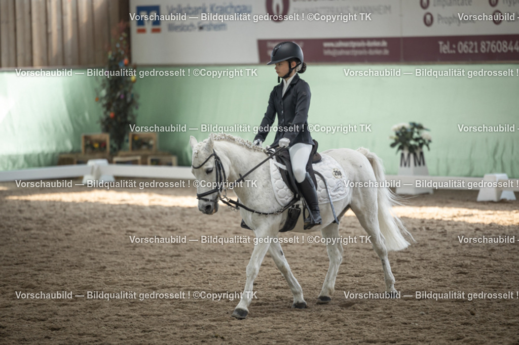 _D5A5691 | Emotionale Pferde- & People-Fotografie rund um Heidelberg, Leimen & Umgebung. Natürliche Fotos von Pferd, Mensch & Familie. Jetzt Termin sichern!