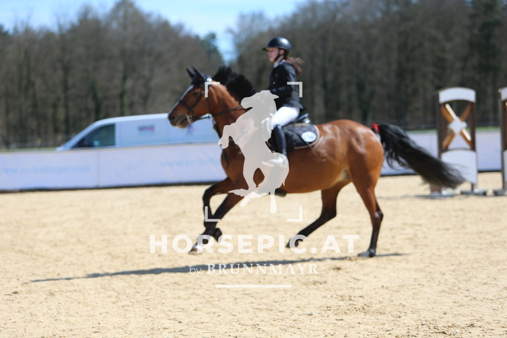 DL2Q5672 | Willkommen bei Brunnmayr - Design & Fotografie – Ihrem Spezialisten für Reitturniere und Pferdeveranstaltungen in Oberösterreich, Salzburg und Bayern! Seit über 17 Jahren sind wir leidenschaftlich dabei.