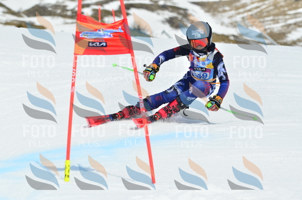 _ELE2655 | holidayphoto