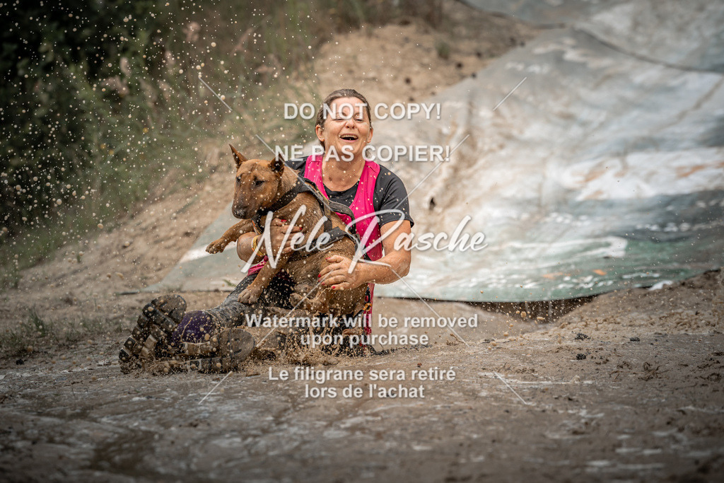 nelerasche_sa1430-1500_35 | nelerasche