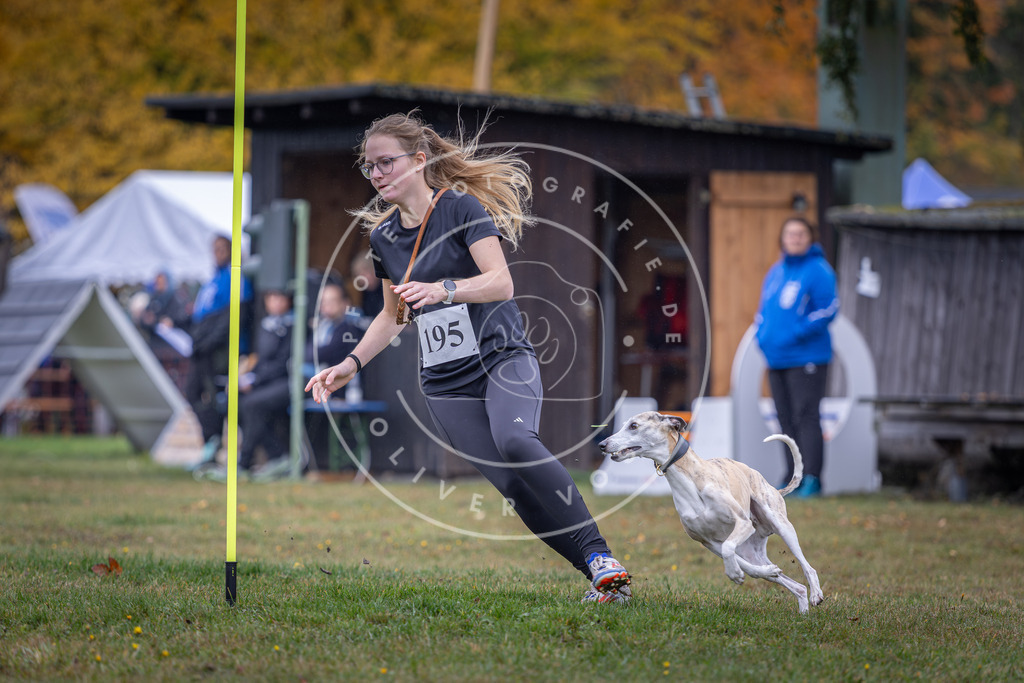 Pfotenfotografie_DV3A0707 | Hundefotografie, Tierfotograf, Pfotenfotografie, Fotoshooting Hund, Hunde Portrait, Hundesport, Hundeportraits, Heideshooting, Hunde, Sportfotograf, Hundefotograf, Turnierhundsport, THS,  - Realisiert mit Pictrs.com