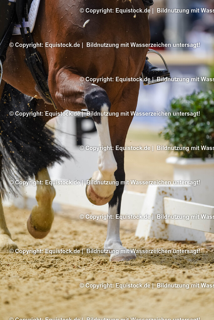 20250607_1_GP-Tour_Dressage_0161 | Foto: Thomas Hartig