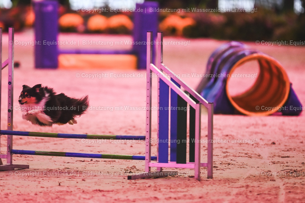20241113_Showabend_TOMsPiC_0338 | Foto: Thomas Hartig