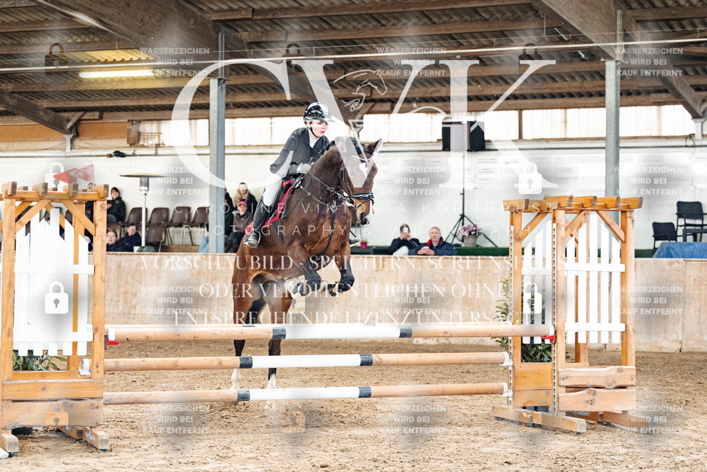 CK904524 | Turnierfotografie Pferdefotografie Trier Rheinland-Pfalz Pferdesport Reitsport Tierfotografie Sportfotografie Pferdevideo Pferdevideografie Equestrianvideography equestrianphotography  - Realisiert mit Pictrs.com
