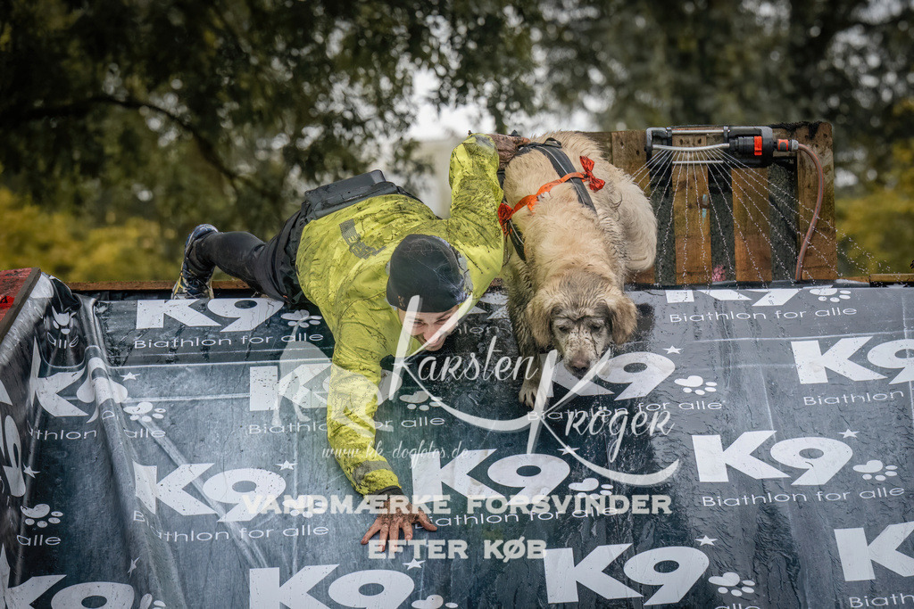 1234_ZZ90190 | kk-dogfotos