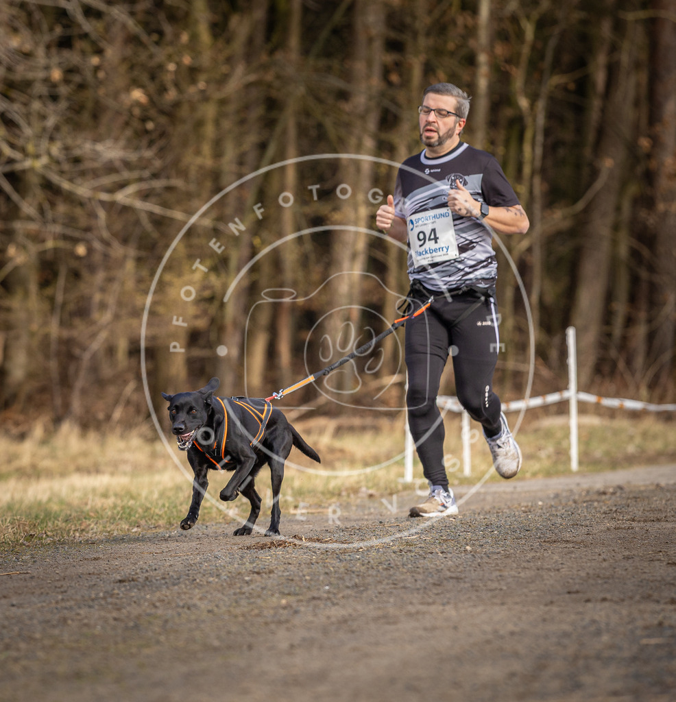 DV3A4024 | Hundefotografie, Tierfotograf, Pfotenfotografie, Fotoshooting Hund, Hunde Portrait, Hundesport, Hundeportraits, Heideshooting, Hunde, Sportfotograf, Hundefotograf, Turnierhundsport, THS,  - Realisiert mit Pictrs.com