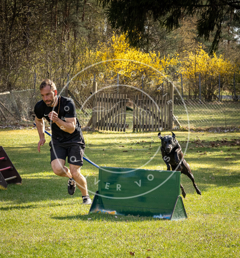 Pfotenfotografie_DV3A1710 | Hundefotografie, Tierfotograf, Pfotenfotografie, Fotoshooting Hund, Hunde Portrait, Hundesport, Hundeportraits, Heideshooting, Hunde, Sportfotograf, Hundefotograf, Turnierhundsport, THS,  - Realisiert mit Pictrs.com