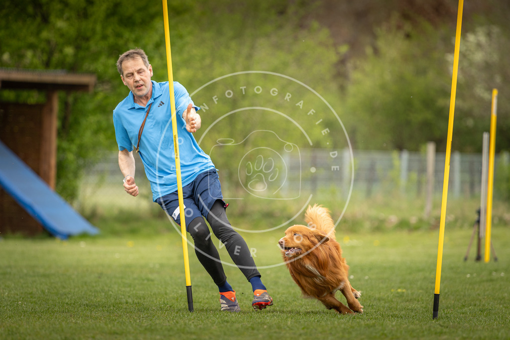 Pfotenfotografie_DV3A7376 | Hundefotografie, Tierfotograf, Pfotenfotografie, Fotoshooting Hund, Hunde Portrait, Hundesport, Hundeportraits, Heideshooting, Hunde, Sportfotograf, Hundefotograf, Turnierhundsport, THS,  - Realisiert mit Pictrs.com