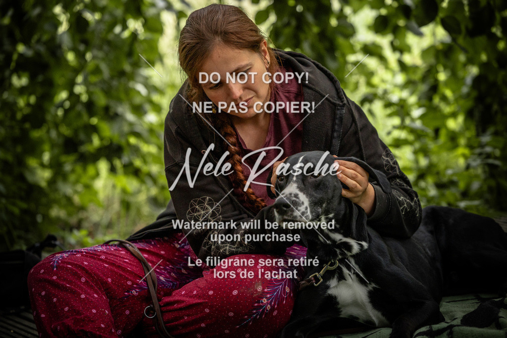 nelerasche_SaN_87 | nelerasche
