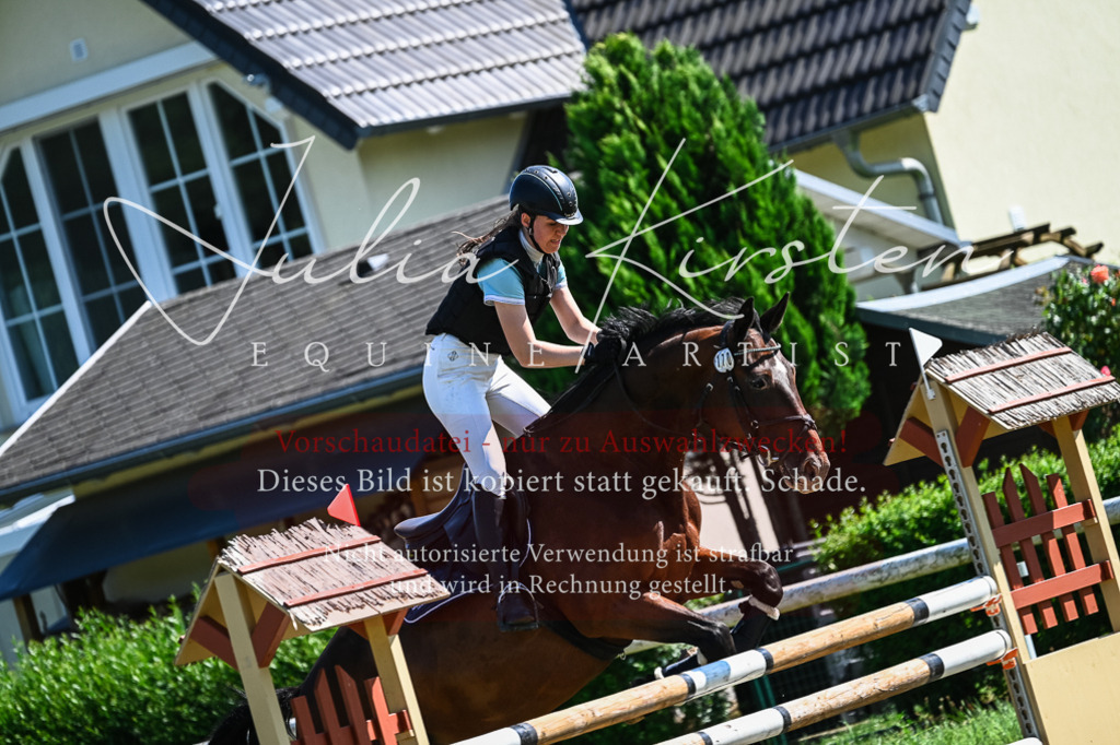 DSC_1495 | Pferde- und Turnierfotografie in Westsachsen. Pferdeportraits, Auftragszeichnungen und intuitive Kunst.
