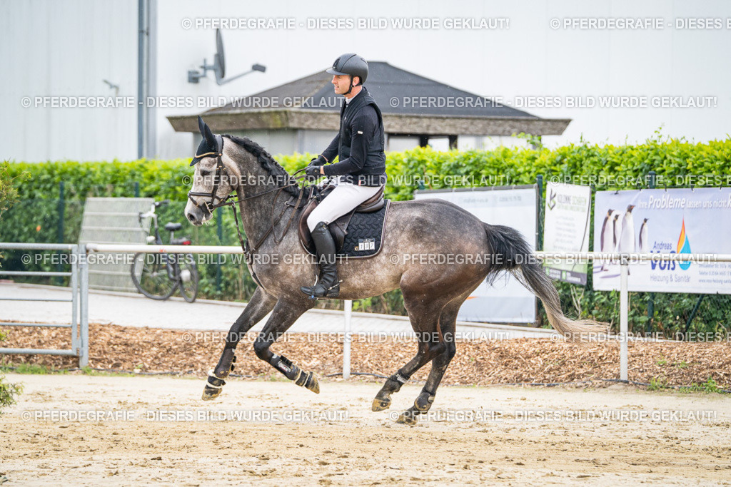 DSC09656 | Pferdegrafie