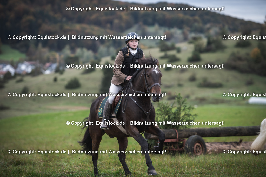 20241013_Jagd-Marbach_0245 | Foto: Thomas Hartig