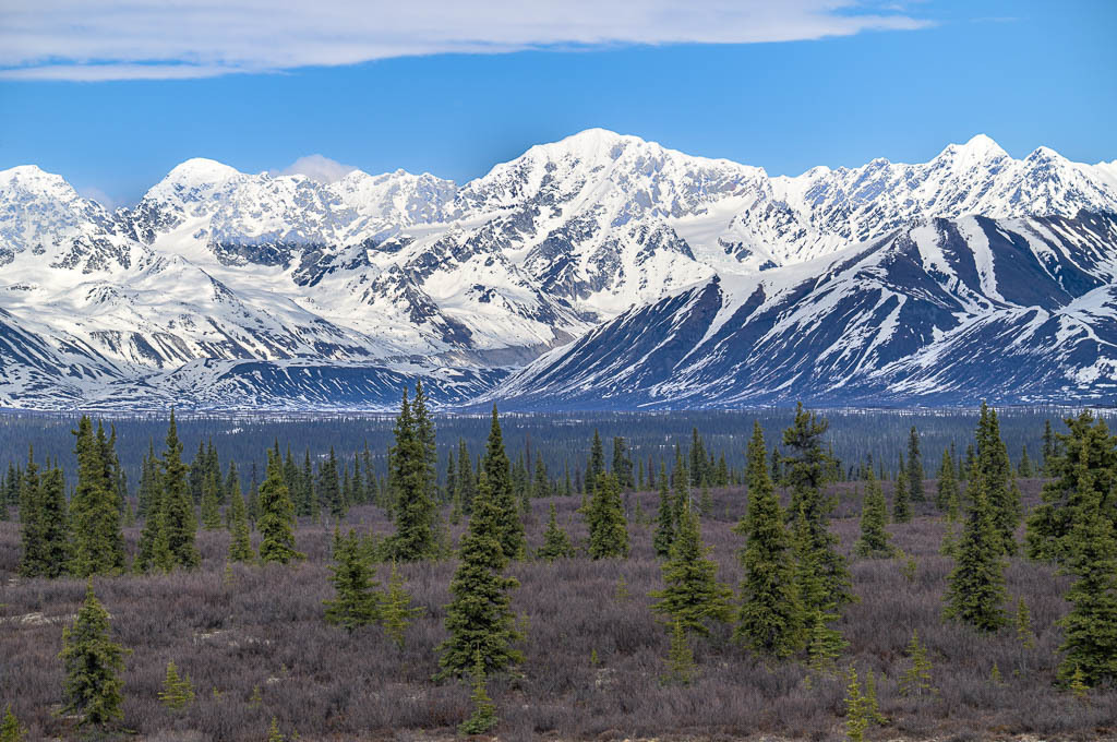 Alaska | Denali Highway - Realisiert mit Pictrs.com