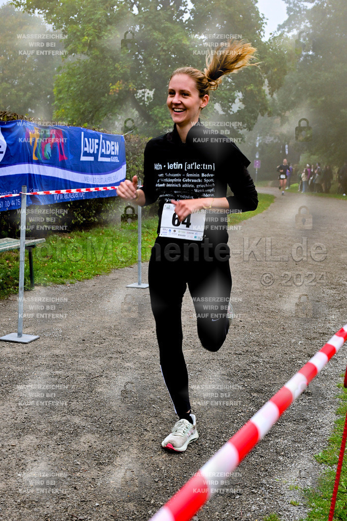 Z8N_2123 | la-psv - Realisiert mit Pictrs.com