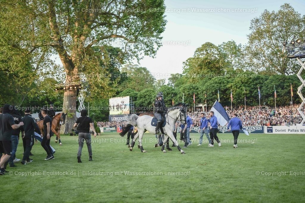 20230526_Pferdenacht_0432 | equistock
