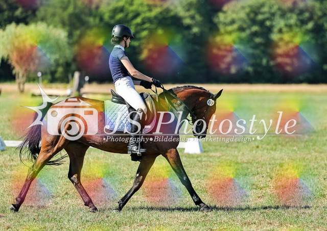 20260628_14a_VA_Dressur-151 | JS-Photostyle - Sport-/Portrait- & Eventfotografie