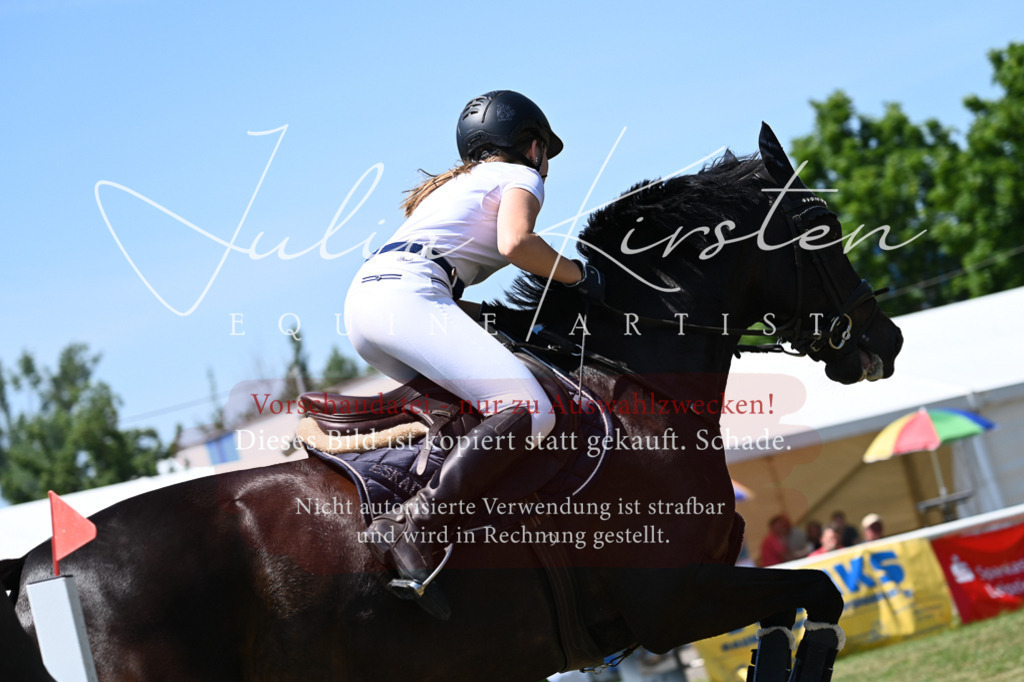 DSC_0740 | Pferde- und Turnierfotografie in Westsachsen. Pferdeportraits, Auftragszeichnungen und intuitive Kunst.