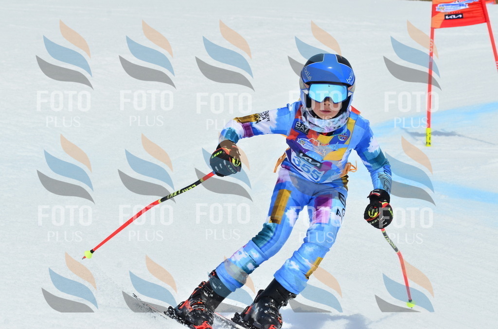 _ELE2753 | holidayphoto