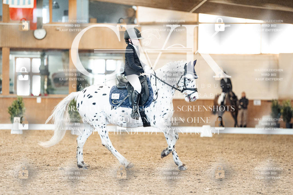 CK908973 | Turnierfotografie Pferdefotografie Trier Rheinland-Pfalz Pferdesport Reitsport Tierfotografie Sportfotografie Pferdevideo Pferdevideografie Equestrianvideography equestrianphotography  - Realisiert mit Pictrs.com
