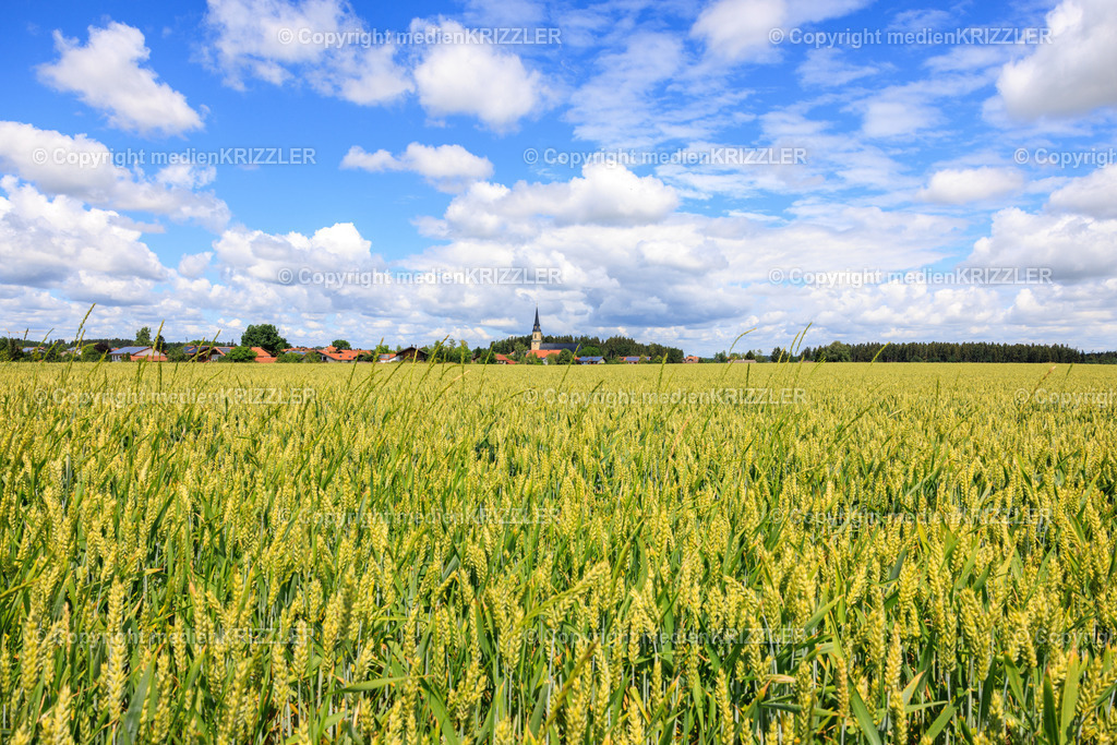 Peterskirchen | medienkrizzler - Realisiert mit Pictrs.com