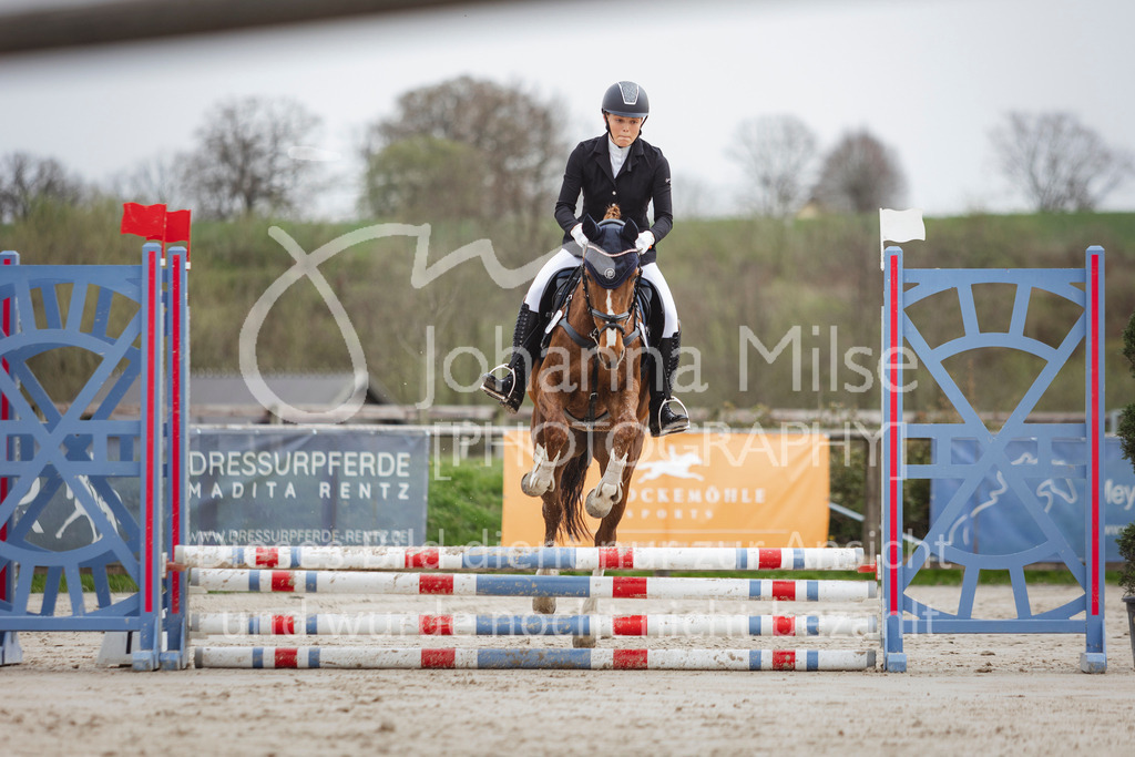 240330_Fruehlingsfest_Stilspring-WB-542 | Deine schönsten Turniermomente als professionelle Fotos! Entdecke hochwertige Pferdesport-Fotografie im Online-Shop. Jetzt Fotos finden & bestellen!