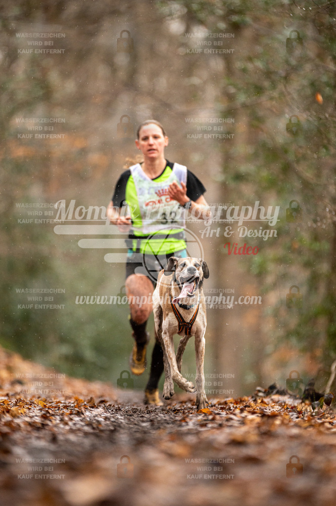 SPA_2023_DIM_CCL-49 | PayLife