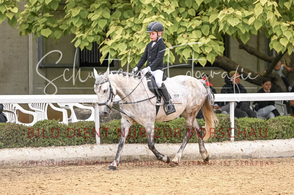 Schugtsche-Aluta25-47.ReiterWB_ST-75 | Schugtsche Fotografie - Realisiert mit Pictrs.com