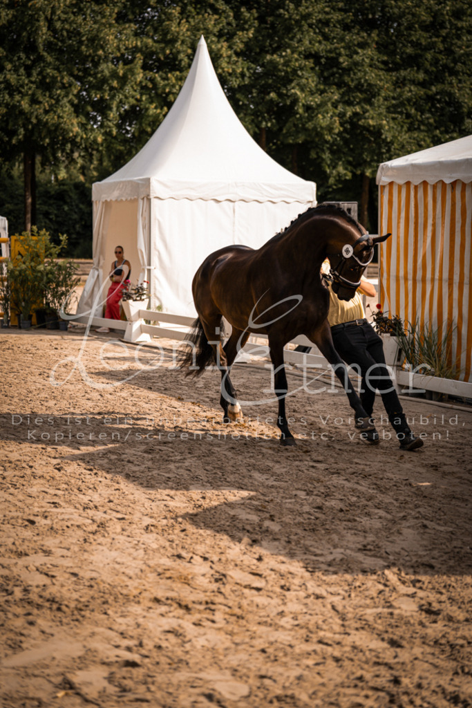 FrER00165 | Leoni Ertmer Photography - Realisiert mit Pictrs.com