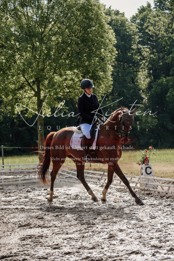 DSC_9240 | Pferde- und Turnierfotografie in Westsachsen. Pferdeportraits, Auftragszeichnungen und intuitive Kunst.