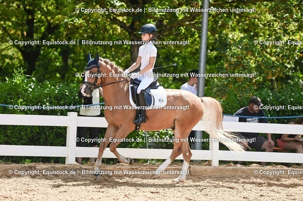 20230715_09_Dressur-WB_0282 | equistock