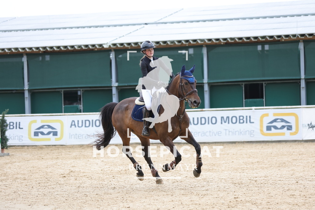 0P6A3043 | Willkommen bei Brunnmayr - Design & Fotografie – Ihrem Spezialisten für Reitturniere und Pferdeveranstaltungen in Oberösterreich, Salzburg und Bayern! Seit über 17 Jahren sind wir leidenschaftlich dabei.