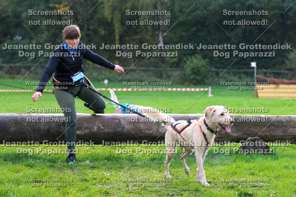 Dog Paparazzi -  SD1026-1957 | Dog Paparazzi Jeanette Grottendiek Fotografie & Videografie - Realisiert mit Pictrs.com