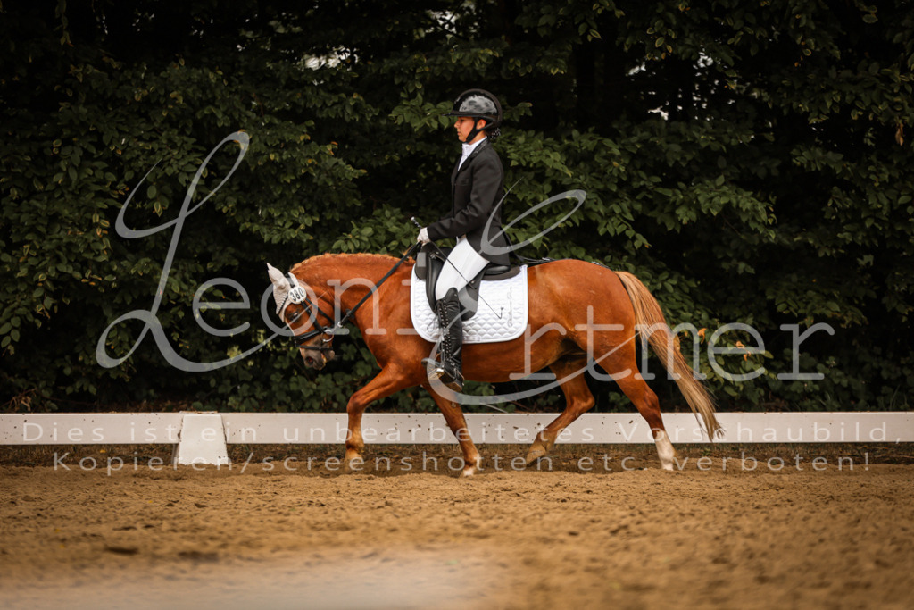 DoDrE00507 | Leoni Ertmer Photography - Realisiert mit Pictrs.com