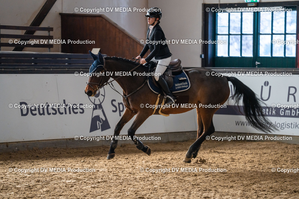 Kranichstein Tag 2-781 | dv-media-shop - Realisiert mit Pictrs.com