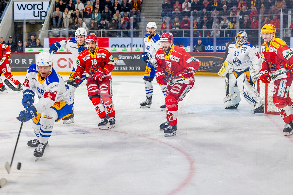 EHCB vs EVZ 20260227_WB-7654 | Sportbilder, Sportfotograf, Hochzeits- und Eventfotografin, Flugshows, Portraits und Tiershooting, Aviation, Downhill, Nationalleague, Swissleague, International