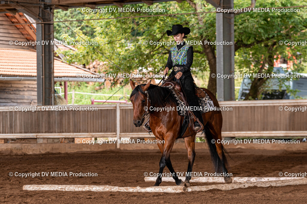 Erbach Tag 2-362 | dv-media-shop - Realisiert mit Pictrs.com