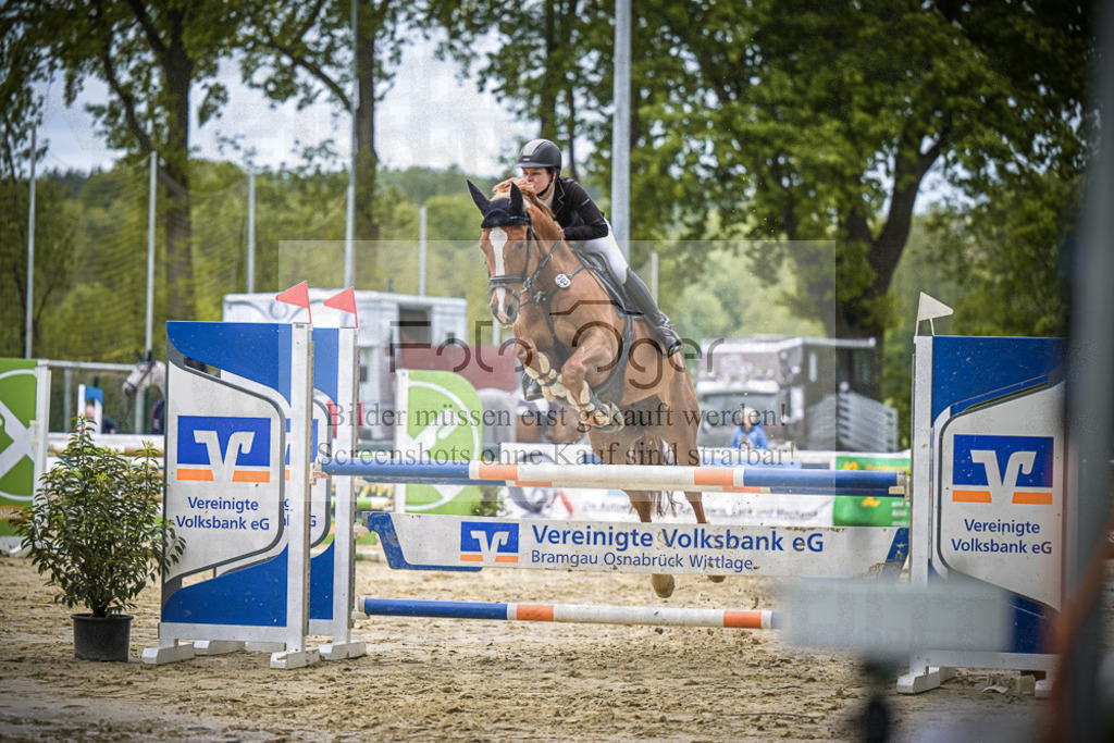 DOS_6251 | Entdecke hochwertige Reitturnierfotos von Foto Oger. Professionell, emotional und authentisch – jetzt Lieblingsmomente im Shop bestellen.Deutschlandweite Turnierfotografie. - Realisiert mit Pictrs.com