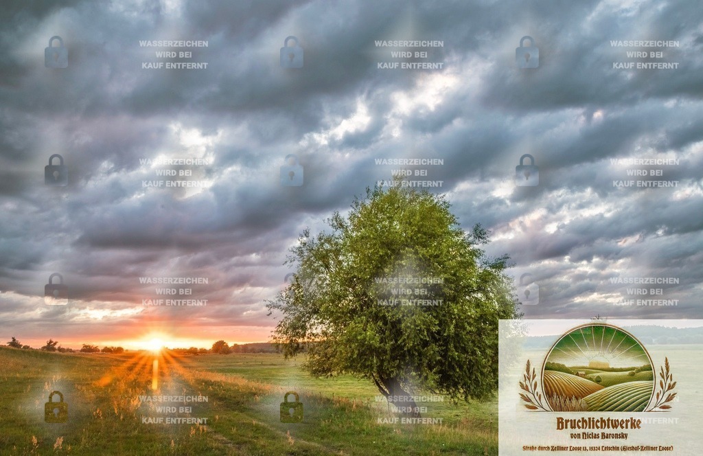 Sonnenstern über Zollbrücke | Professioneller Fotograf mit 10 Jahren Erfahrung. Landschafts- und Hochzeitsfotografie im Oderbruch. Workshops und beeindruckende Bilder für besondere Momente.