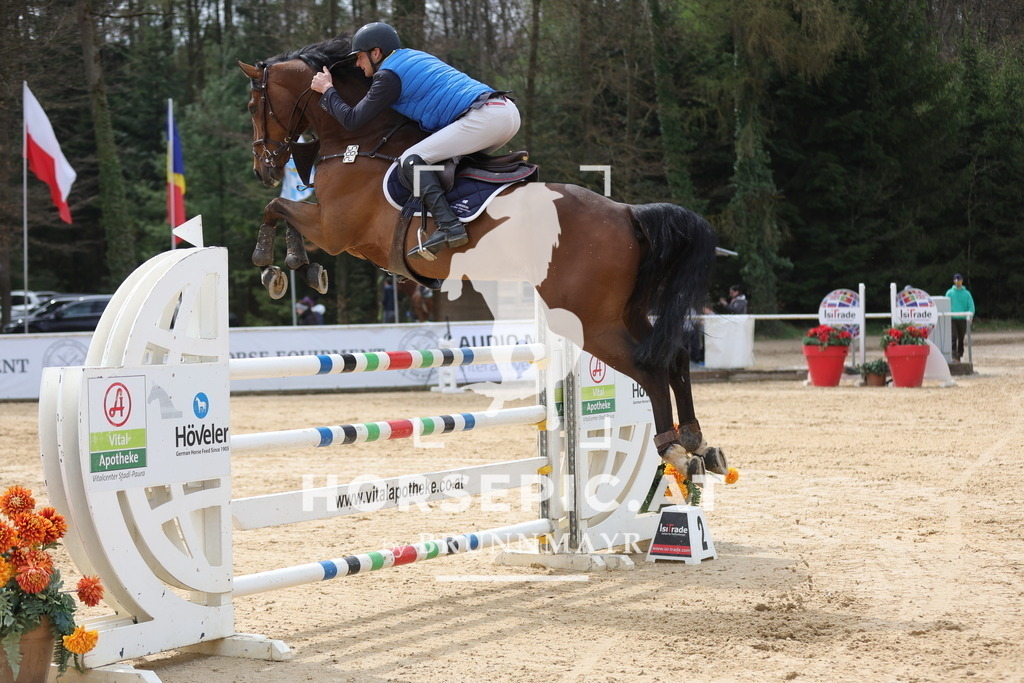 0P6A6145 | Willkommen bei Brunnmayr - Design & Fotografie – Ihrem Spezialisten für Reitturniere und Pferdeveranstaltungen in Oberösterreich, Salzburg und Bayern! Seit über 17 Jahren sind wir leidenschaftlich dabei.