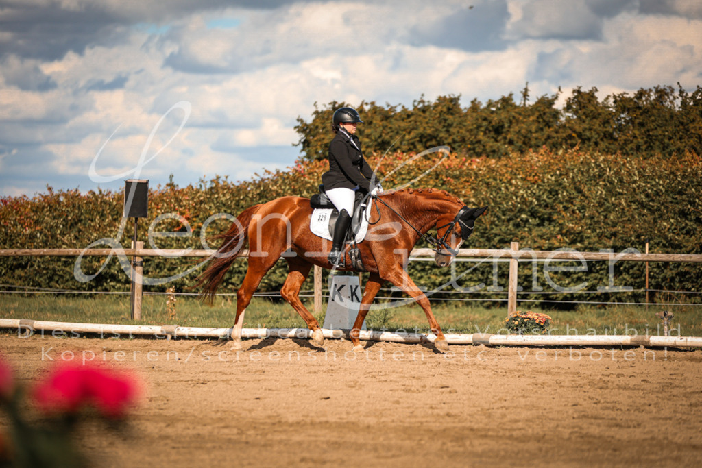 15.SaDrL00431 | Leoni Ertmer Photography - Realisiert mit Pictrs.com