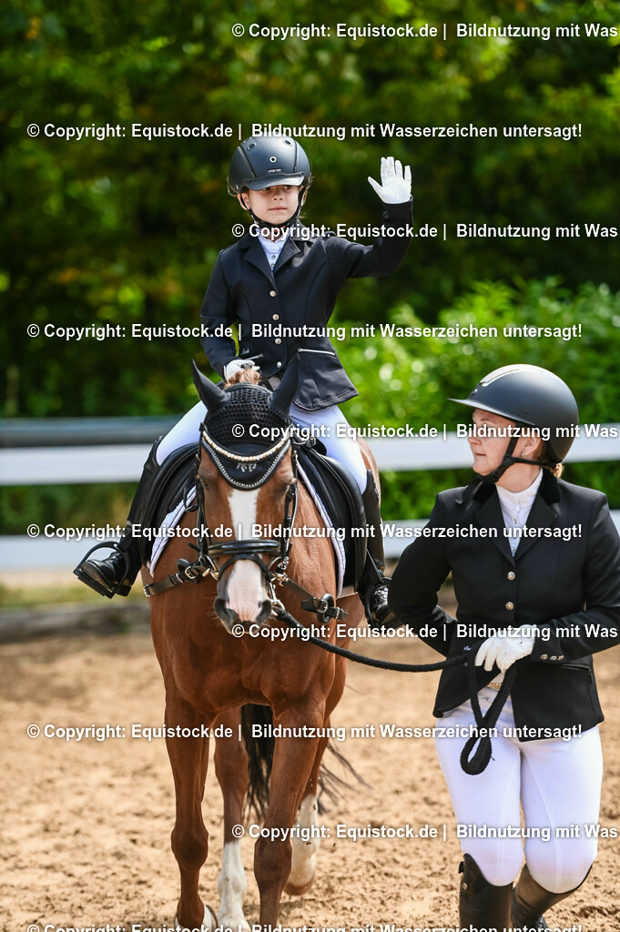 20230716_11_Führzügel-WB_0195 | equistock