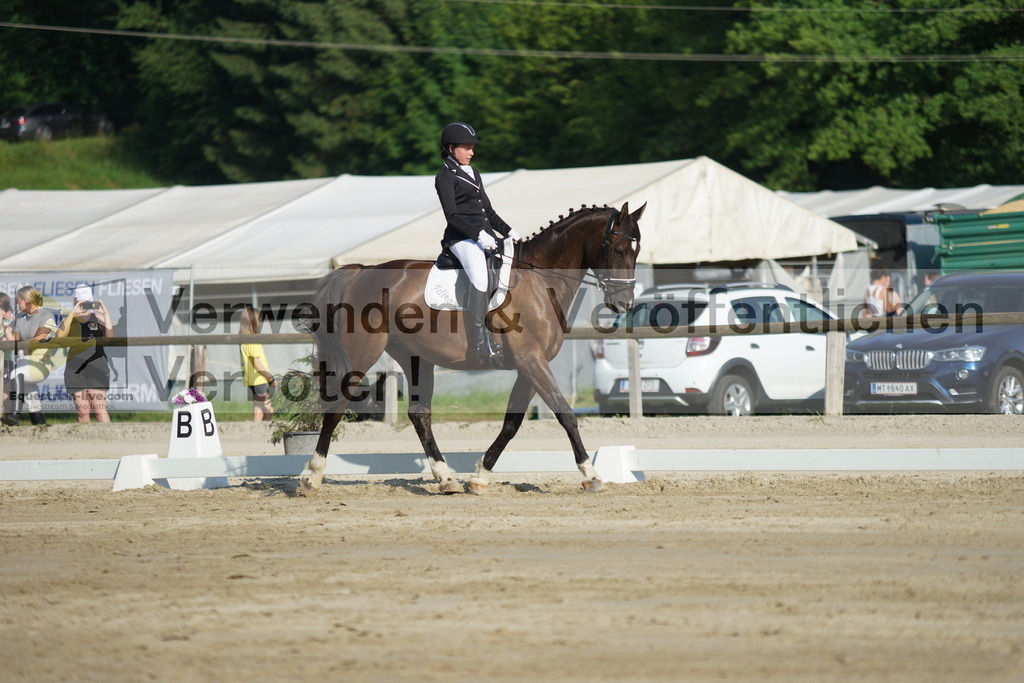 DSC04149 | equestrian-live-com