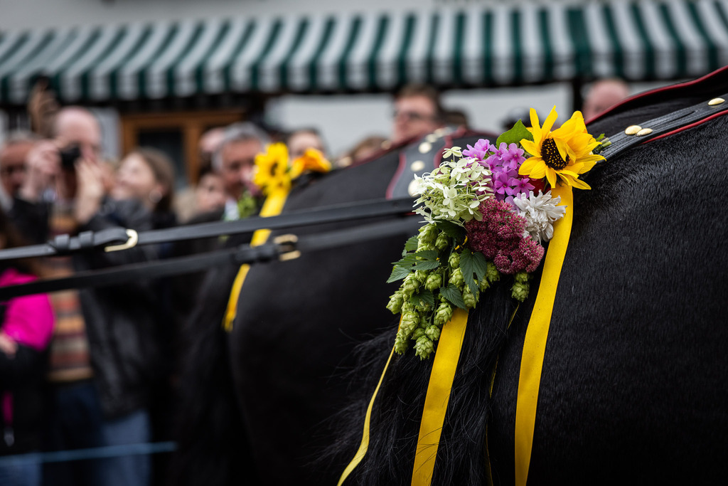 Rupertifest_Flachau_2k25_Webauflösung-152 | Bildershop Chri Fischbacher - Realisiert mit Pictrs.com