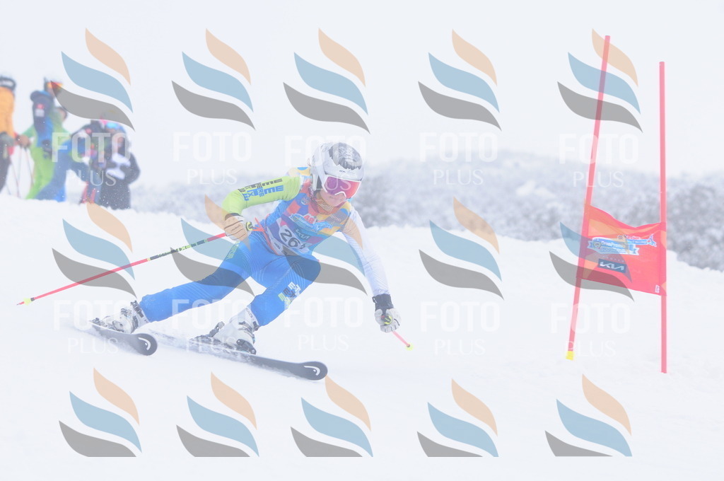 C2742 | holidayphoto